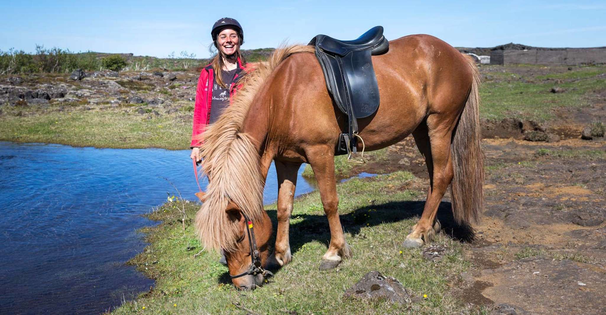 From Reykjavík, Icelandic Horse Riding Tour in Lava Fields - Housity