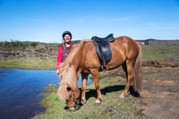 De Reykjavík, recorrido de equitación islandés en los campos de lava - Housity