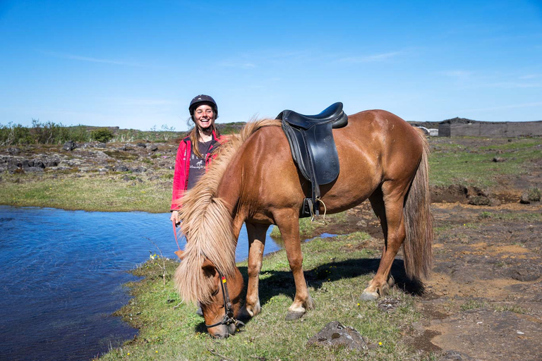 Tour en caballo islandés por los campos de lava