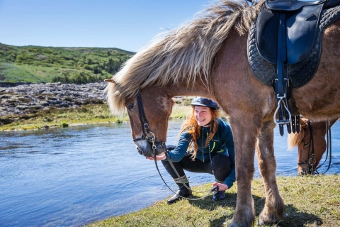 Tour en caballo islandés por los campos de lava