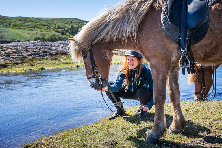 Icelandic Horse Riding Tour in Lava Fields Icelandic Horse Riding Tour in Lava Fields with Pickup