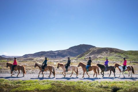 Beginner Horse Ride through Hafnarfjordur Countryside
