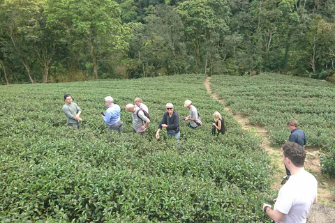 Taipai: Full-Day Pinglin and Elephant Mountain Tour