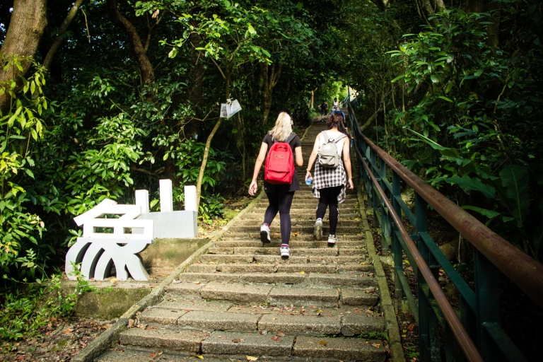 Taipai: Full-Day Pinglin and Elephant Mountain Tour