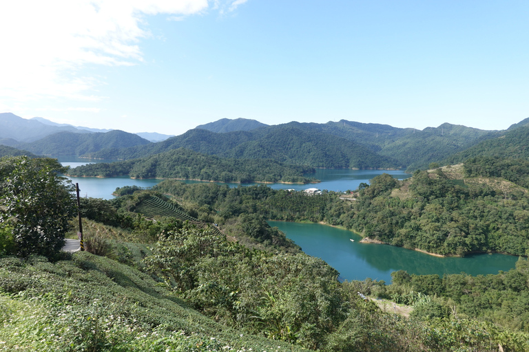 Da Taipei: Tour guidato di un giorno della cultura del tè di Pinglin e Maokong