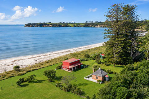 Auckland: Birding & Heritage Tour with Gannets Godwits Auckland: Native Forest, Bird Colony & Coastal Tour
