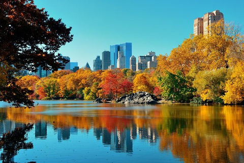 Central Park Fietsverhuur2-uur fietshuur in Central Park