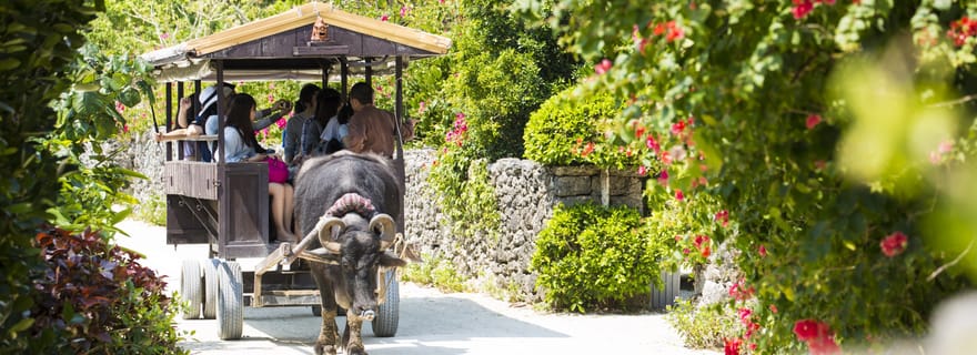 Ishigaki : plongée avec tuba sur l'île fantôme et visite de Taketomi