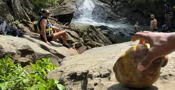 From San Juan: El Yunque Rainforest & Luquillo Beach Tour