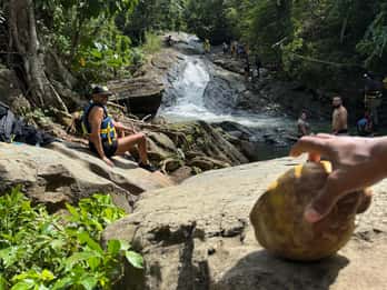 Ab San Juan: El Yunque Regenwald & Luquillo Strand Tour