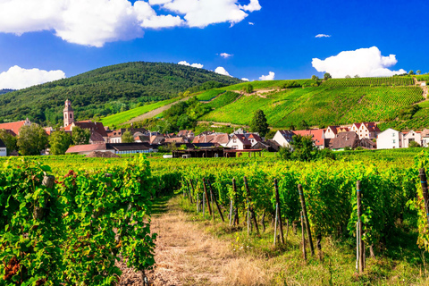 From Strasbourg: Half-Day Tour of Alsace Villages