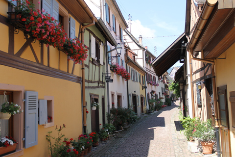 Vanuit Straatsburg: Halfdaagse tour langs dorpen in de ElzasVanuit Straatsburg: rondleiding van een halve dag door de dorpen van de Elzas