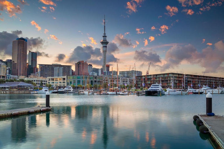 Full-day Auckland City &amp; Rainforest Tour by Car