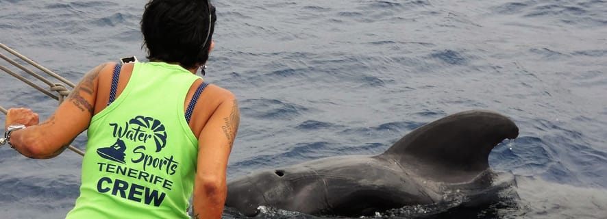 Z Los Cristianos: wycieczka z wielorybami i delfinami bez pościgu