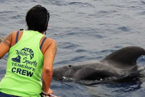 Los Cristianosista: No-Chase Whale and Dolphin Tour