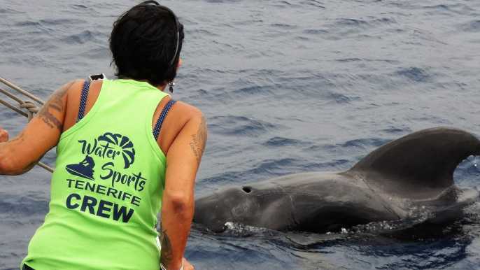 Los Cristianos: tour de ballenas y delfines sin seguirlos
