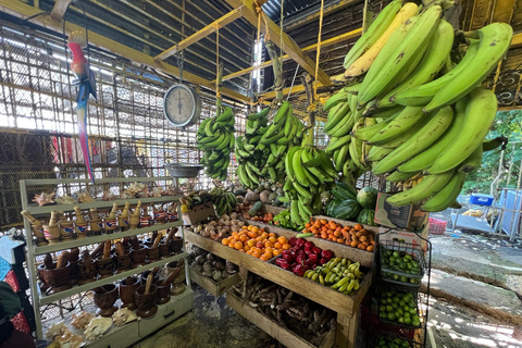 El Yunque Rainforest; Waterslides, Beach, Dine and Shop Tour El Yunque Rainforest Waterslides and Beach Tour