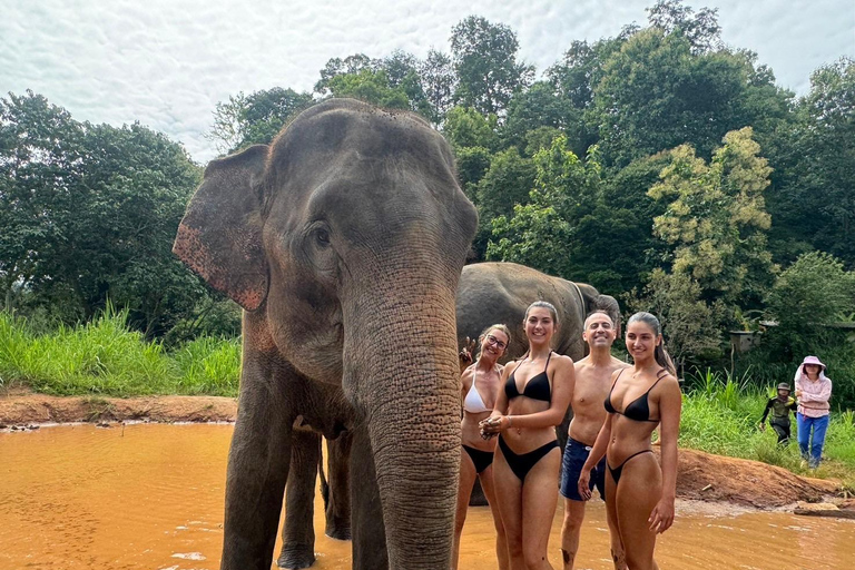 Chiang Mai: Santuário de elefantes, trilha dos monges e excursão a Doi SuthepPonto de encontro