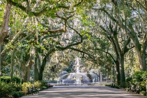 Savannah: History, Culture, & Scenic Views E-Bike Tour