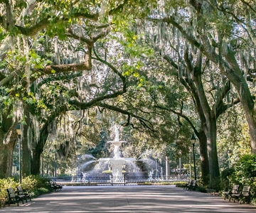 Savannah: History, Culture, & Scenic Views E-Bike Tour