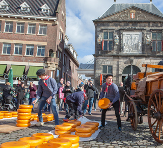 Museums in Gouda: Tickets and Tours