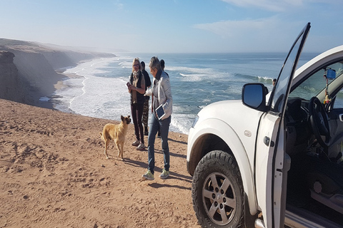 From Agadir: Sahara Desert Day Trip and Camel RidePickup From Taghazout