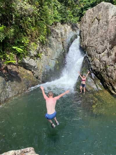 el yunque tours from fajardo