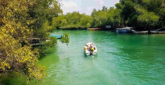 Madu River Boat Tour and Cinnamon Garden visit