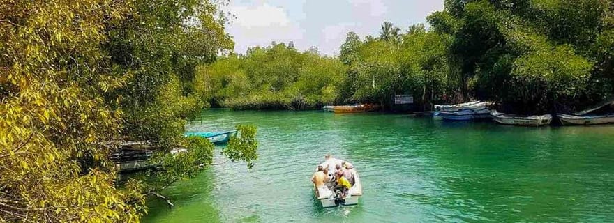 Tour en bateau de la rivière Madu et visite du jardin de la cannelle