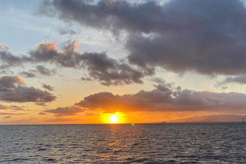 Oahu Night Dive: avontuur voor gecertificeerde duikers