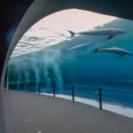 Genova: Biglietto combinato Acquario e FantaCinema