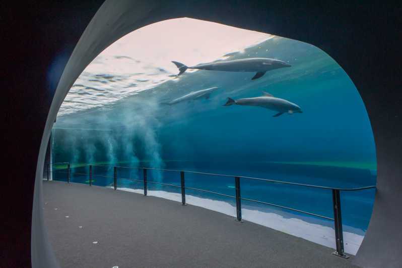Genova: Kombineret billet til akvarium og FantaCinema