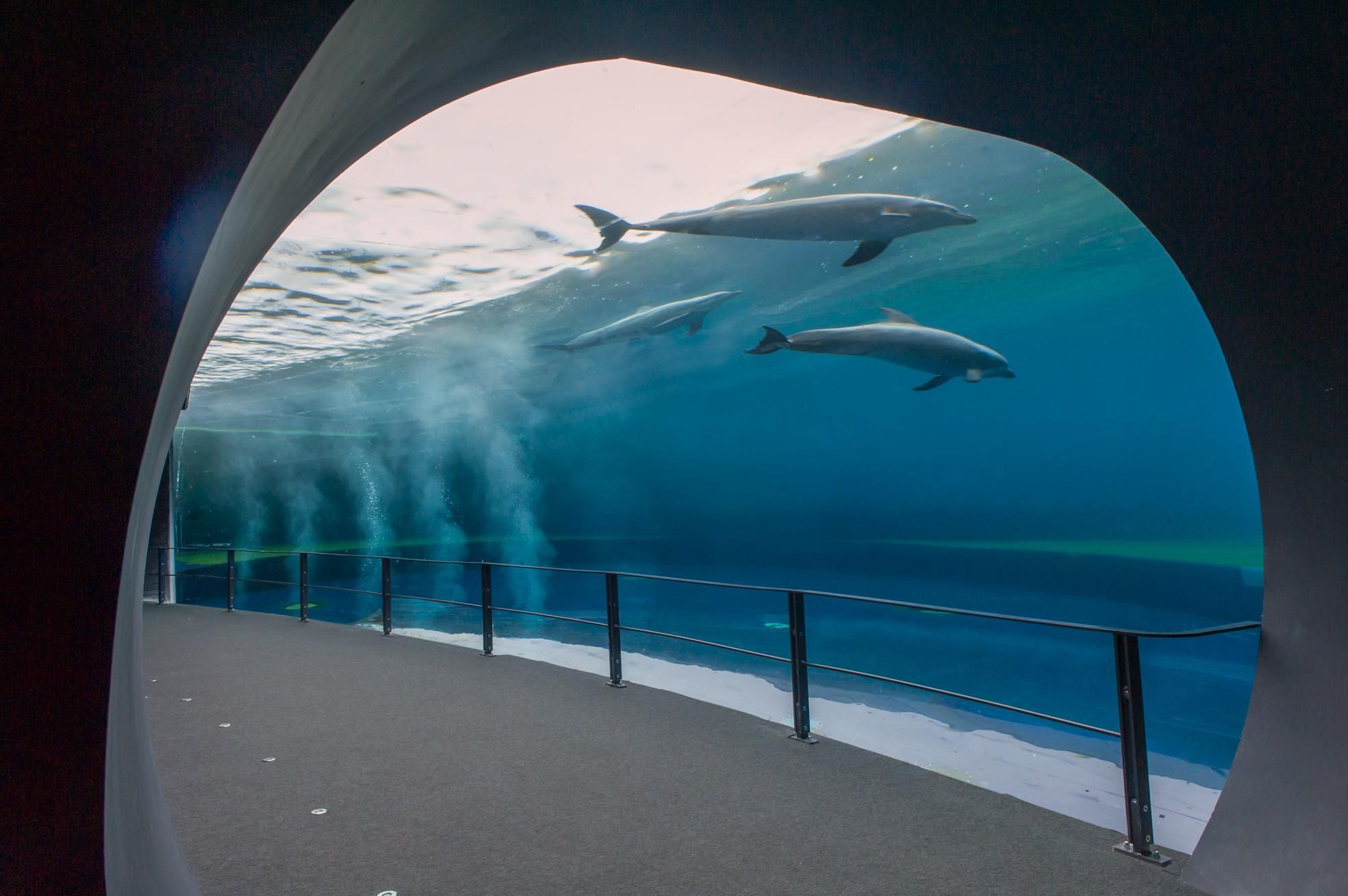 Genua: Aquarium und FantaCinema Kombiticket