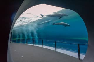 Genoa: Aquarium and FantaCinema Combined Ticket