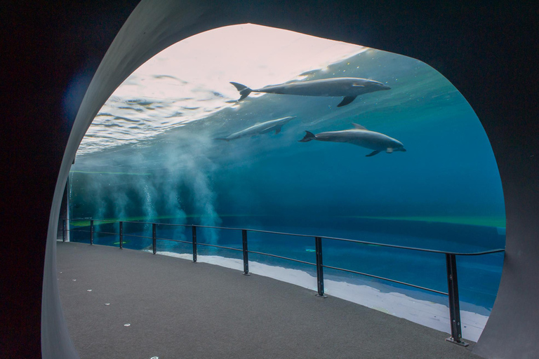 Genoa: Aquarium and FantaCinema Combined Ticket