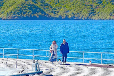 From Tokyo: Nikko UNESCO Sites Private English Guided Tour