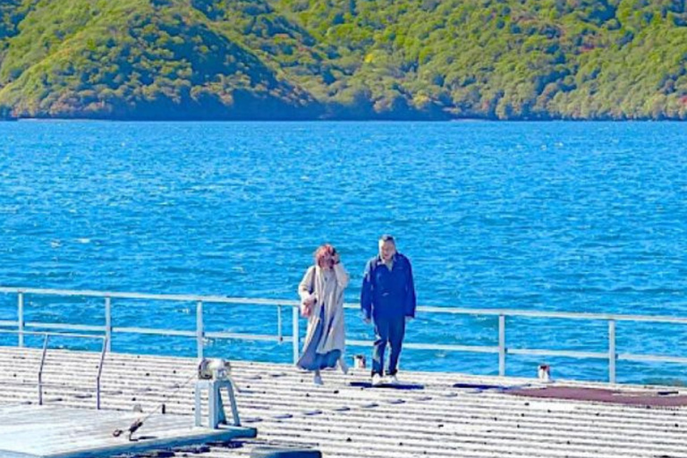 From Tokyo: Nikko UNESCO Sites Private English Guided Tour