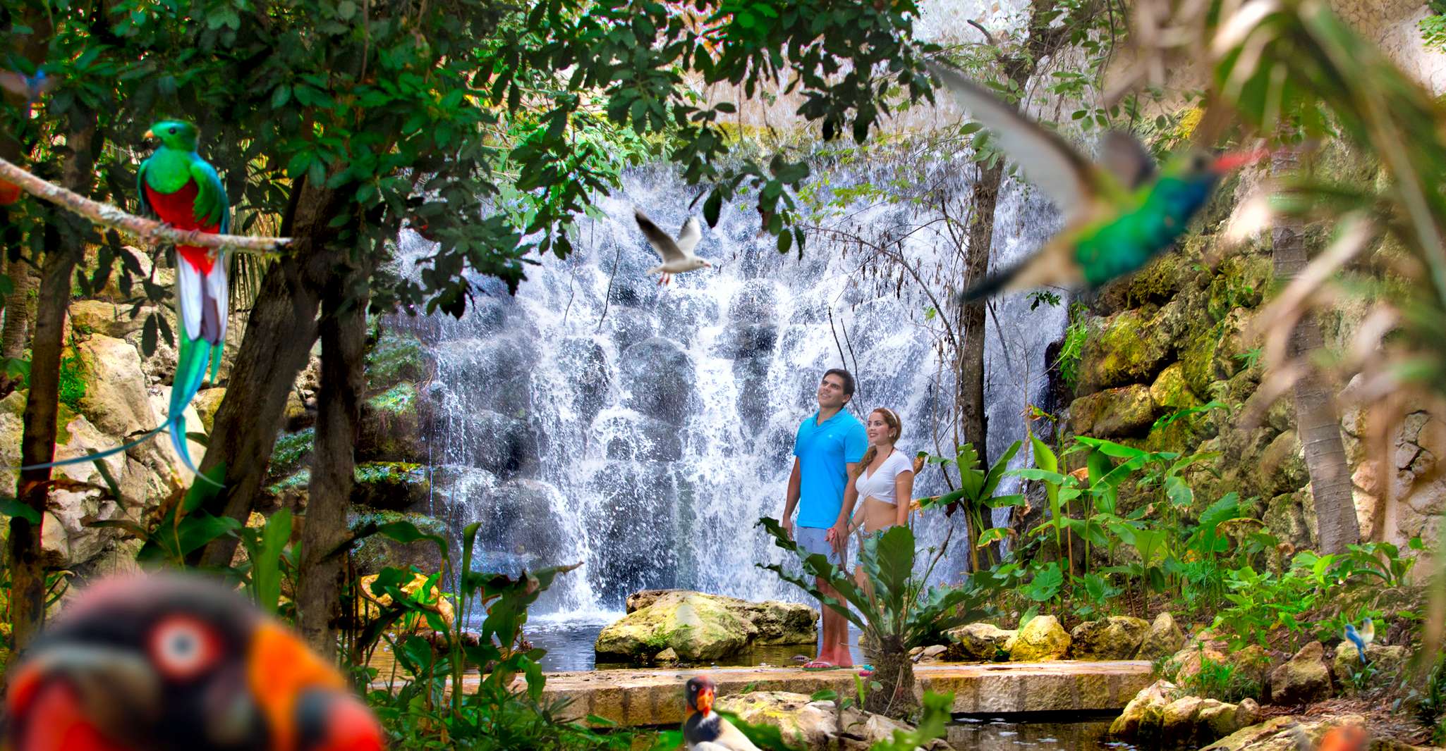 Cancun & Riviera Maya, Xcaret & Xplor Parks with Transport - Hizvo