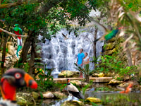 Cancun & Riviera Maya, Xcaret & Xplor Parks mit Transport - Hizvo