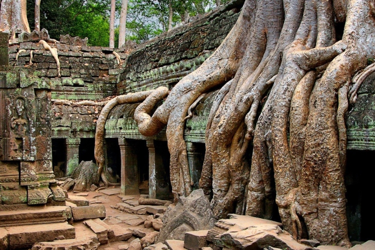 Angkor Wat: Wycieczka w małej grupie o wschodzie słońca bez tłumów