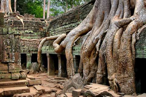 Siem Reap: Angkor Wat: Small-Group Sunrise Tour