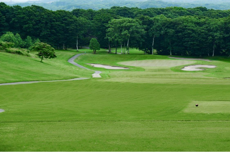 [Hokkaido Golf] Shinchitose C.C 18H (Transfer Optional) Weekdays