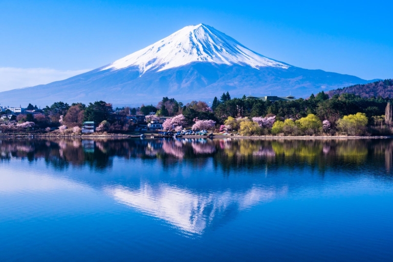 Monte Fuji y lago Kawaguchi: tour en autobús de un díaTour con punto de encuentro en Shinjuku LOVE