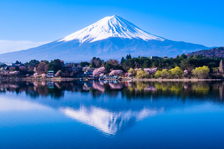 Monte Fuji y lago Kawaguchi: tour en autobús de un díaTour con punto de encuentro en Shinagawa