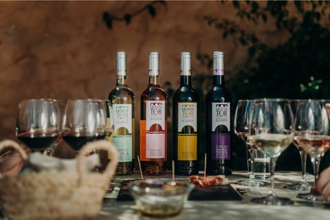 Loulé: Quinta da Tôr Winery, Wine Tasting Experience