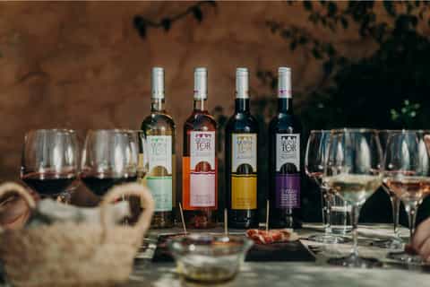 Loulé: Quinta da Tôr Winery, Wine Tasting Experience