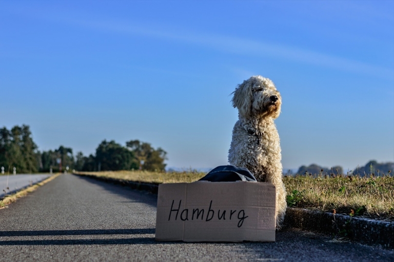 Hambourg: visite à pied du quartier des entrepôts privés et de HafenCity