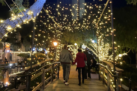 San Diego: Trolleytour met kerstverlichting en bezienswaardigheden