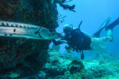 Cancún : plongée sur épave et récifPlongée sur épave et récif
