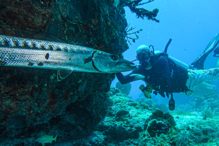 Cancún: relitto e barriera corallina per subacquei certificatiImmersione su relitti e scogli